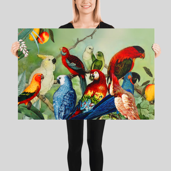 Parrots in the Wild Vintage Poster Collage Vintage Parrot Illustration