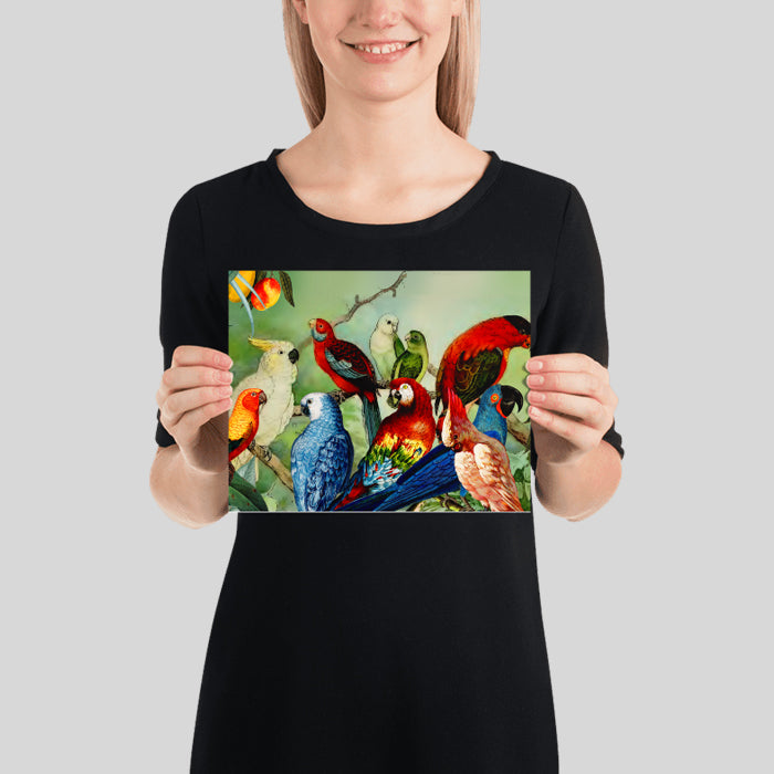 Parrots in the Wild Vintage Poster Collage Vintage Parrot Illustration