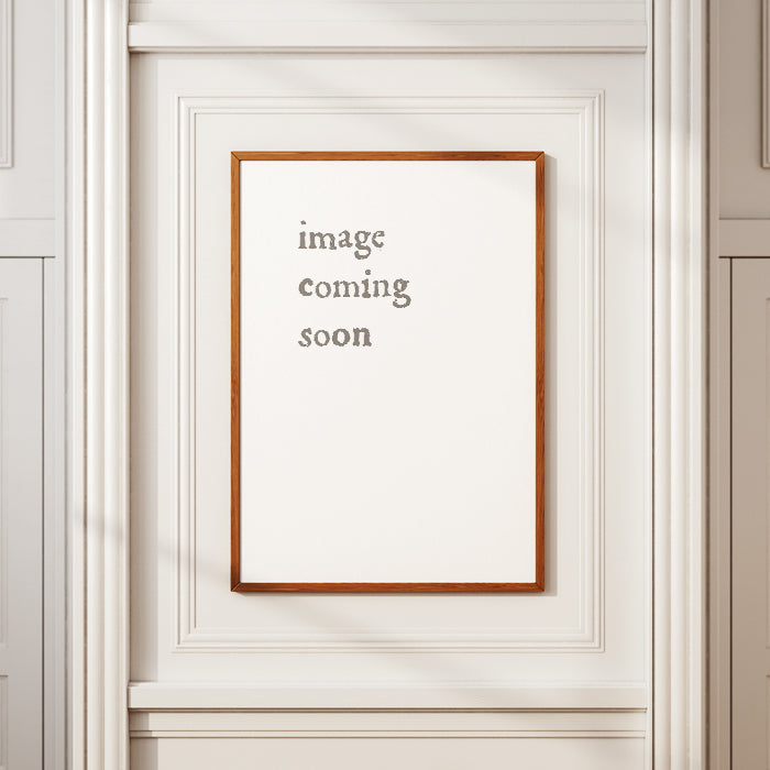 Placeholder image with 'image coming soon' text in a wooden frame on a white wall.