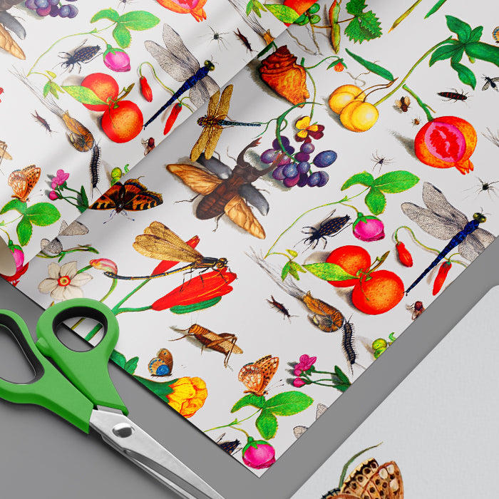 Centuria Insecta Wrapping Paper Sheets for the serious bug aficionado Entomology Lover of insects