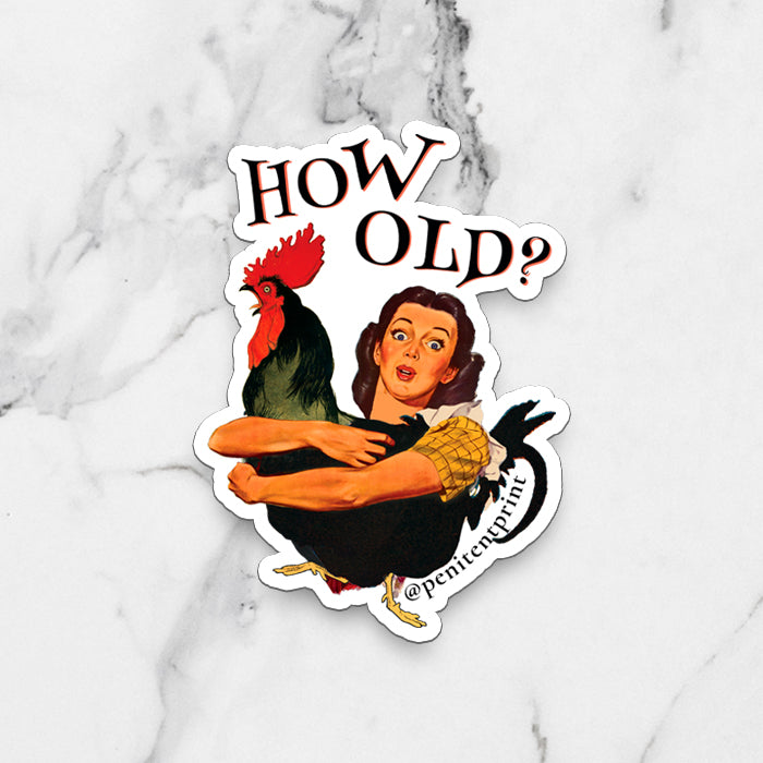 Mother Hen Funny Fridge Magnet Funny Chicken Magnet Cute Birthday Magnet