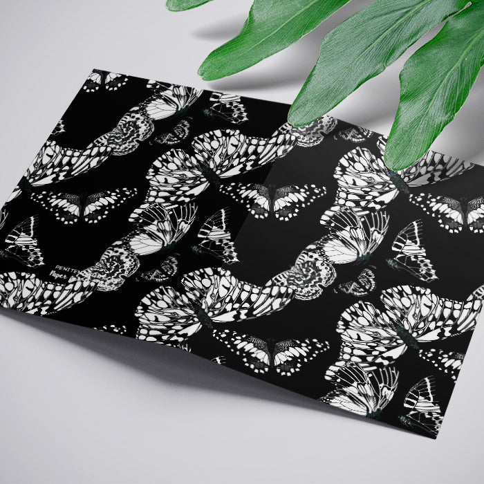 Papillon Noir Greeting Card Black White Stationery