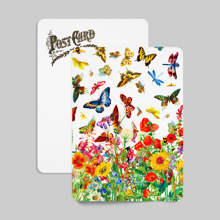 Butterfly Meadow Postcard Summertime Surrender
