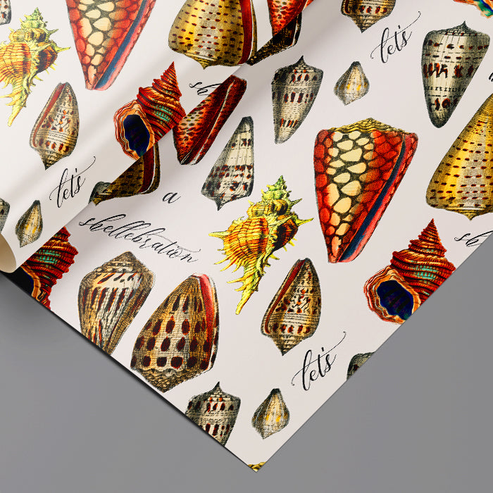 Shelley Wrapping Paper Sheets Set of 3 Sheets Seashell Pun Funny