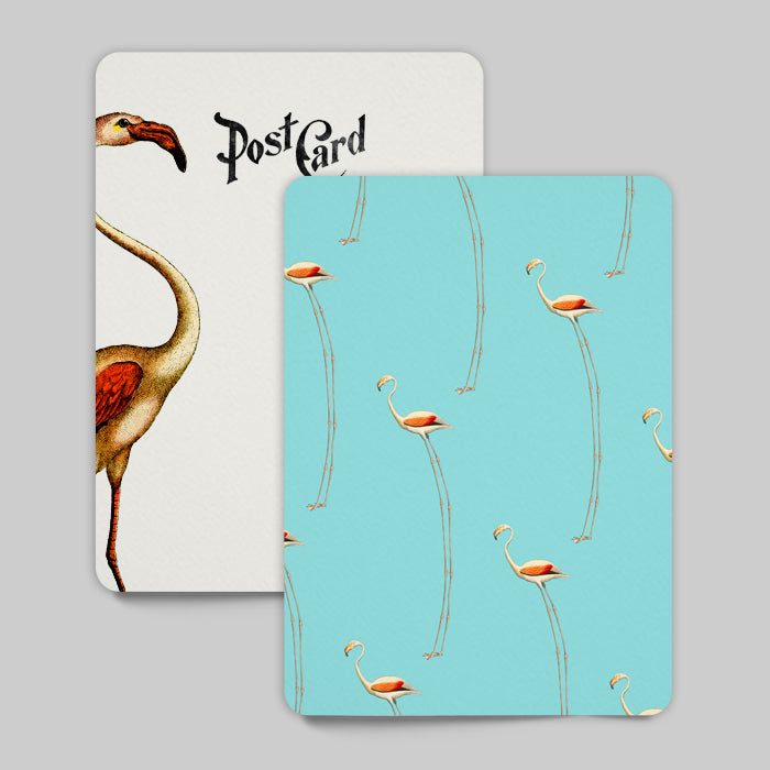 Long Legged Beauty Postcard Retro Flamingo Travel Postcard