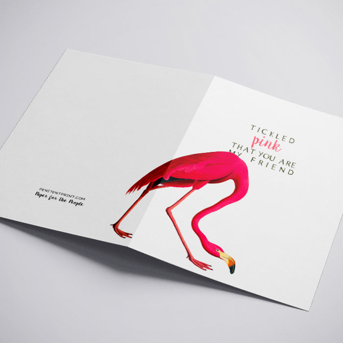 Flamingo Swagger Greeting Card Vintage Pink Flamingo Illustration with Adorable Flamingo Pun