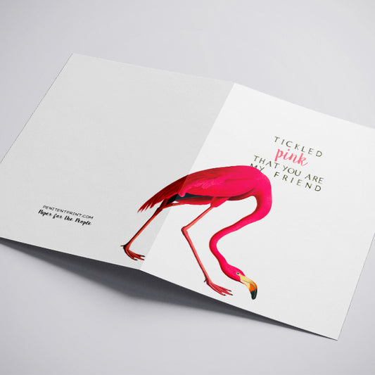 Flamingo Swagger Greeting Card Vintage Pink Flamingo Illustration with Adorable Flamingo Pun