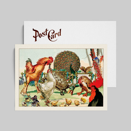 Mother Hen Postcard Funny Chicken Stationery Animal Lover Postcard Vintage