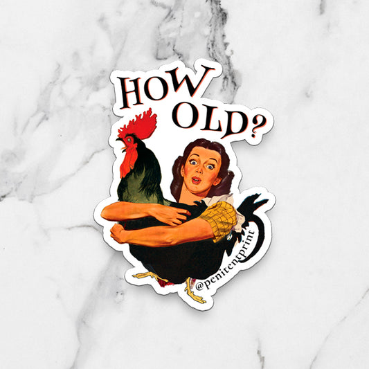 Mother Hen Funny Fridge Magnet Funny Chicken Magnet Cute Birthday Magnet