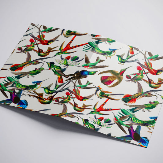 June Hummingbird Greeting Card