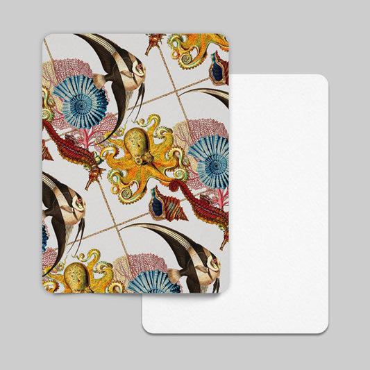 Shelley Postcard Shell Beach Marine includes Envelope
