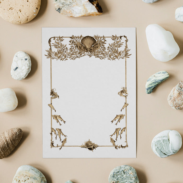 Shelley Stationery with Envelope Vintage Seashell Party Invitation Shell Beach Marine with Envelope