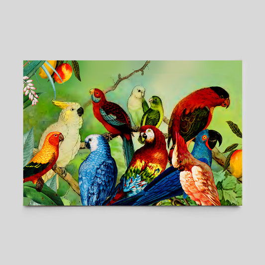 Parrots in the Wild Vintage Poster Collage Vintage Parrot Illustration