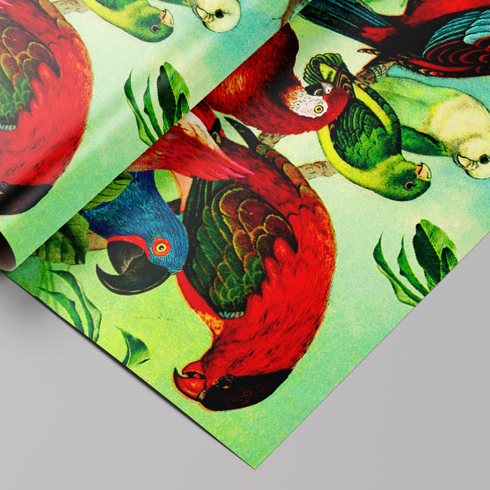 Colorful parrot illustration on a textured surface