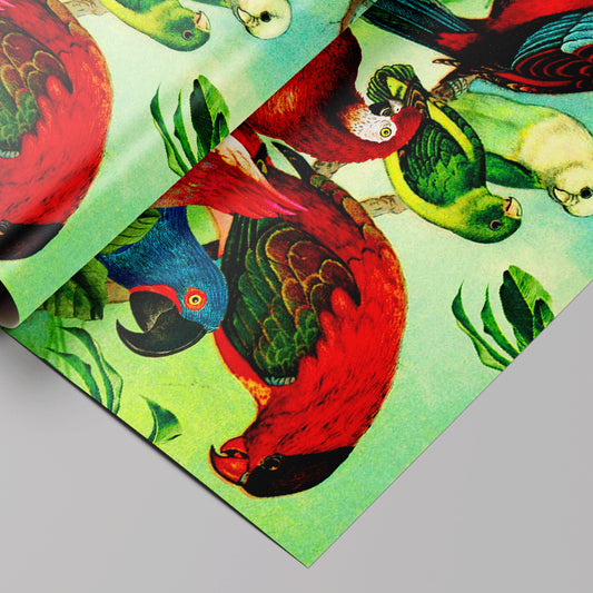 Colorful parrot illustration on a textured surface