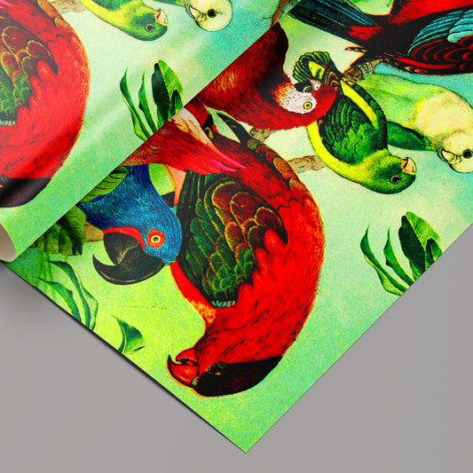 Parrots in the Wild Wrapping Paper Sheets Set of 3 sheets