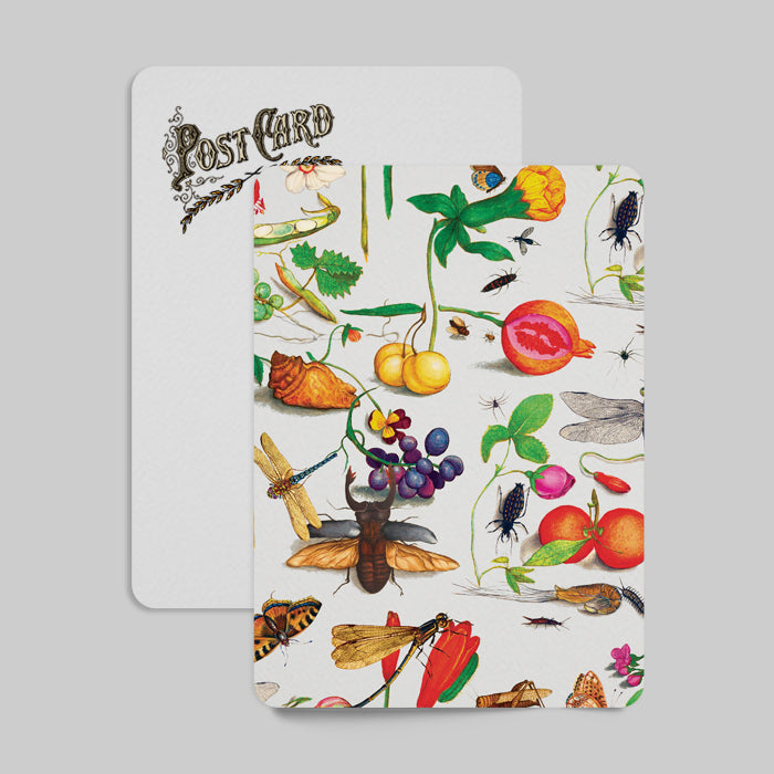 Decorative postcard with illustrations of insects, plants, and fruits on a gray background