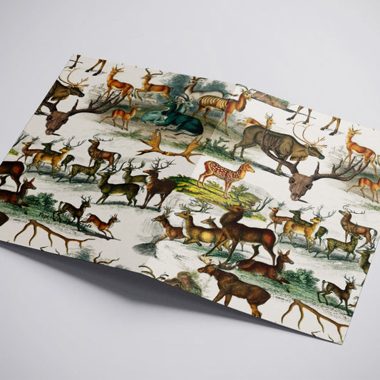 Guardians of the Forest Greeting Card Vintage Deer Illustration