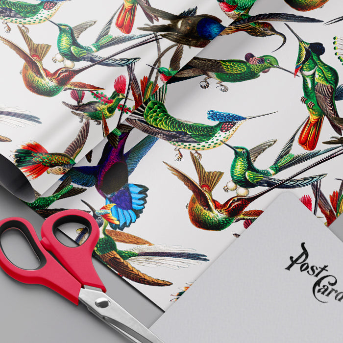 June Hummingbird Explosion Wrapping Paper Sheets Set of 3 Colorful Wrapping Paper Fine Gifting