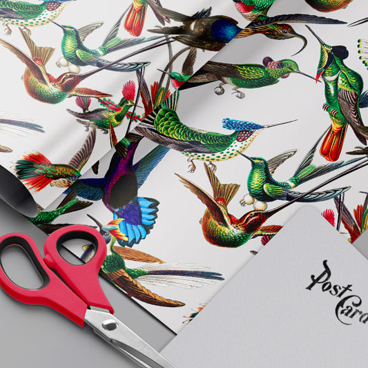 June Hummingbird Explosion Wrapping Paper Sheets Set of 3 Colorful Wrapping Paper Fine Gifting