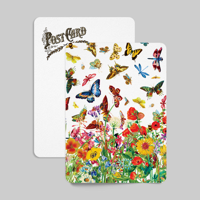 Vintage Butterfly Postcard Butterfly Meadow Postcard. Let the intricate details of the butterflies transport you to a summertime paradise. Surrender to the tranquility of this luxurious piece, perfect for any art, literature, or fashion lover