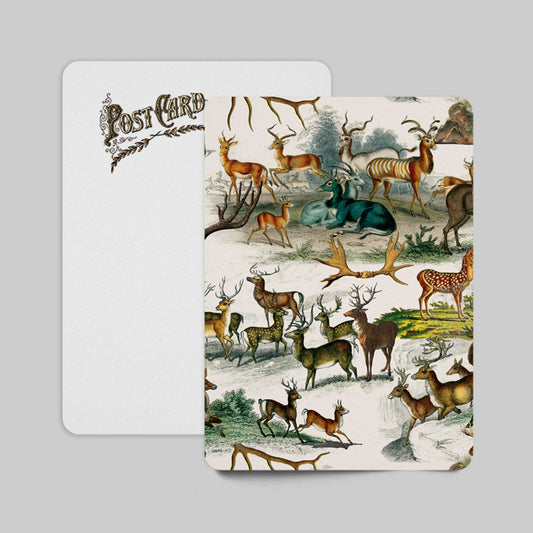 Vintage-style postcard with deer illustrations on a gray background