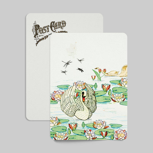 Illustrated postcard with a swan and lily pads on a gray background