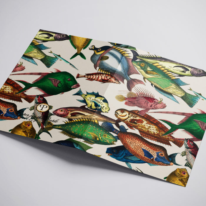 A Greeting card featuring colorful fish