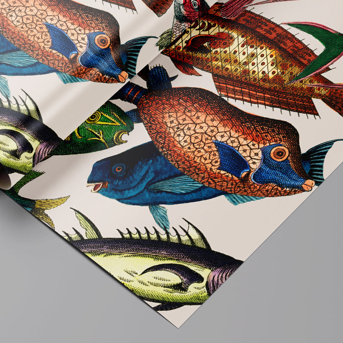 Colorful Wrapping Paper sheet with Antique Fish Illustration
