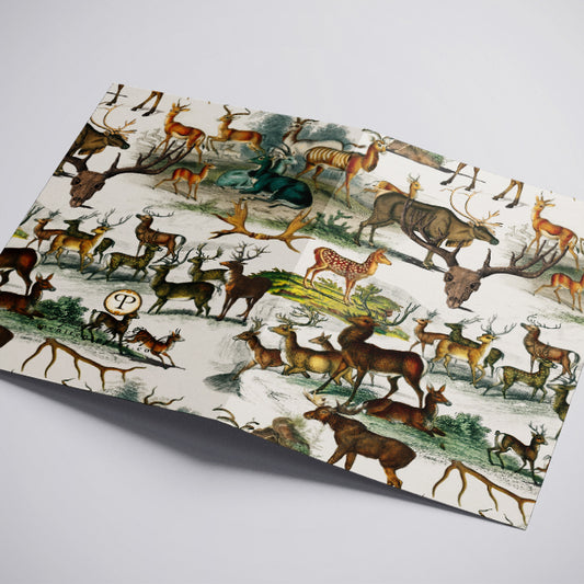 Wrinkled paper with vintage-style animal illustration on a white background