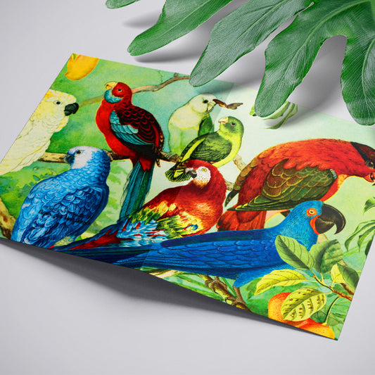 Parrots in the Wild Greeting Card with Envelope Vintage Parrot Illustration Stationery