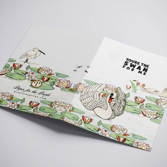 Two greeting cards with swan illustrations and floral designs on a white background.